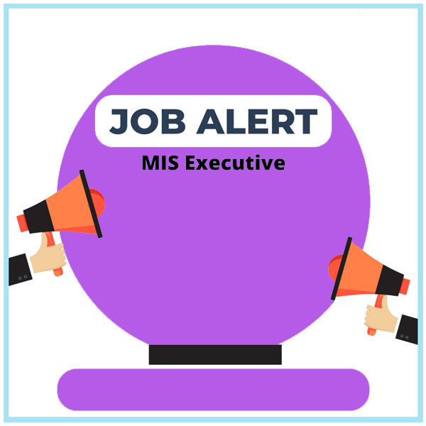MIS Executive
