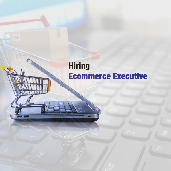 E Commerce Executive/ Manager