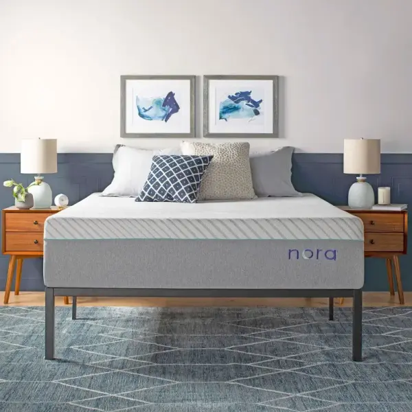 Wayfair-Nora 13" Ultra Plush Gel Memory Foam Mattress with Icy Cool Cover