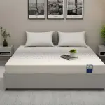 WoodenStreet-Penguin DreamLux High Density HR Foam Mattress