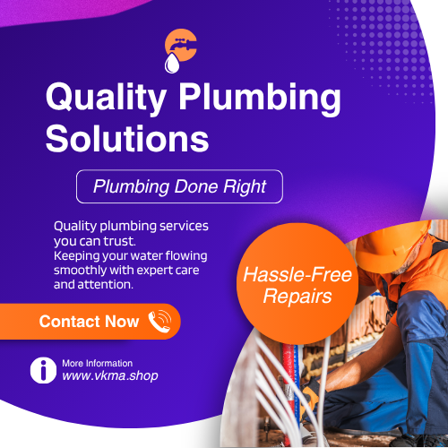 Professional Plumbing Services